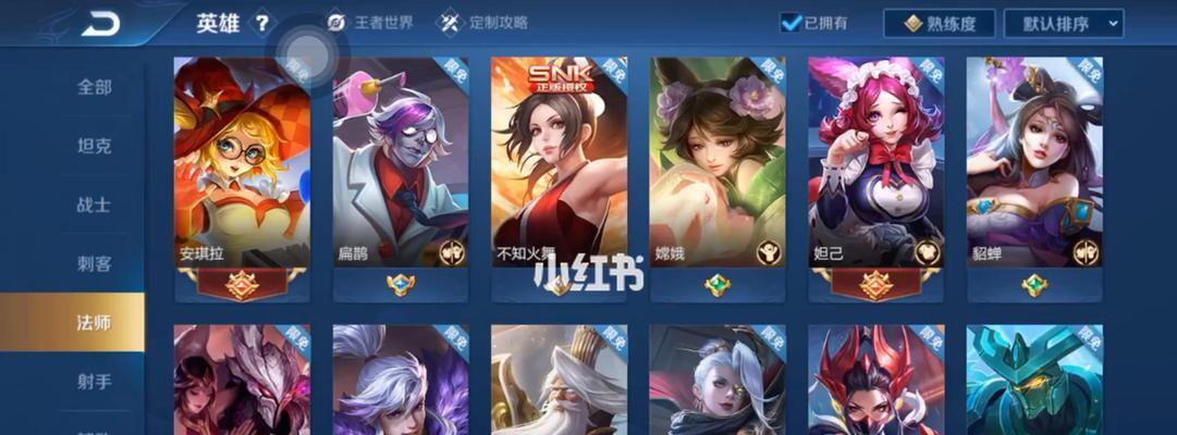 《王者荣耀》2022艾琳装备攻略（打造最强艾琳装备，让你赢得更多比赛）