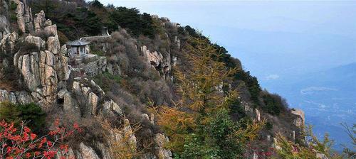 决战神之巅攻略（揭秘神之巅，掌握胜利的关键）