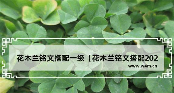 解读花木兰出装铭文攻略的终极指南（掌握花木兰出装铭文的核心要点与技巧，成为无敌战士）