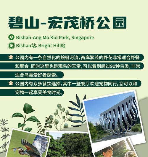 攻略都市摩天大楼（建筑之美、城市风光、层层迷宫，摩天大楼攻略一览无余）