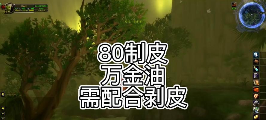 魔兽世界制皮攻略（从初级工艺到高级技巧，打造完美装备）