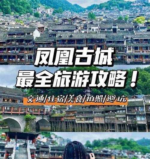 重骑凤凰出装攻略（S级装备推荐与战术技巧解析）