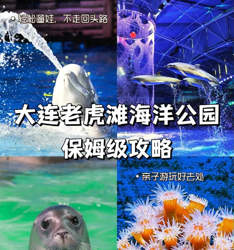 海王海兽出装攻略大全（探秘海王海兽的装备选择、技能搭配和打法策略）