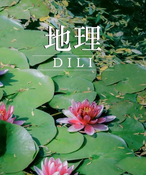 梦奇苍穹破败出装攻略（掌握核心装备，走向胜利之路）