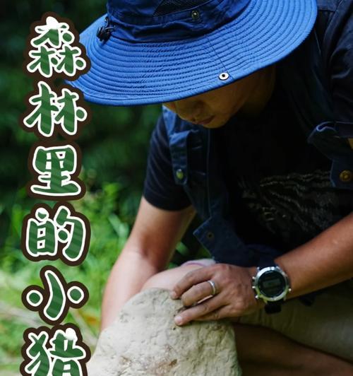 掌握森林生存技能，成为真正的荒野探险家（提升野外生存能力，让你在森林中无所畏惧）