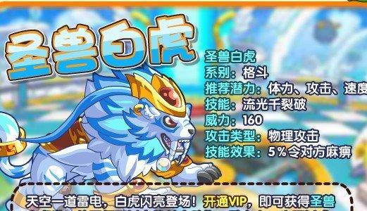 神威冲刺技能加点攻略（学会正确加点，让你在战斗中无往不利）