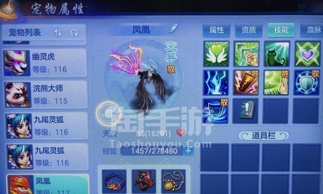《探寻完美技能搭配！神武宠物剑魂攻略》（挑战极限，打造最强组合！）