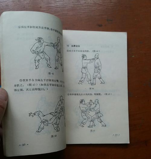 擒拿虎李小龙出装攻略（战无不胜，李小龙出装技巧揭秘）