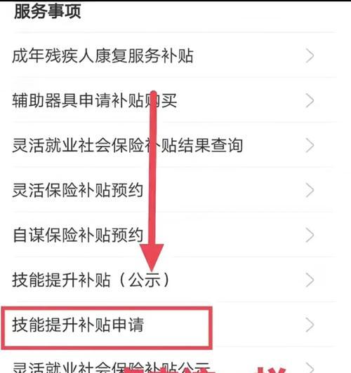一刀传世5职业技能攻略（从入门到精通，教你一步步提升实力）