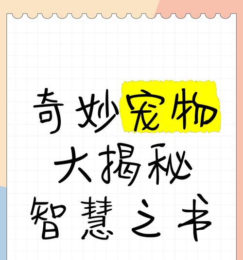 奇妙智慧书游戏攻略（寻找奇妙智慧书，挑战智慧极限！）